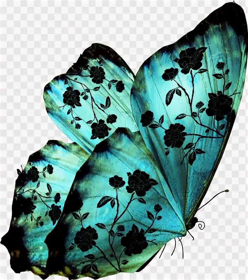 Красивые бабочки на прозрачном фоне. Зеленая бабочка. Бабочки на прозрачном фоне для фотошопа. Бабочки для фотомонтажа.
