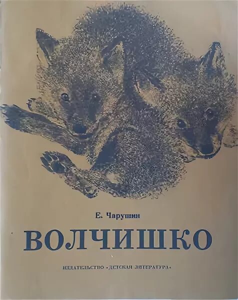 Волчишко текст распечатать. Чарушин волчишко. иллюстрации к рассказу чарушина волчишко.