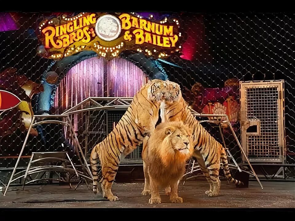Я в ЦИРКЕ! - YouTube