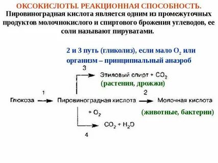 В результате какой реакции образуется пвк