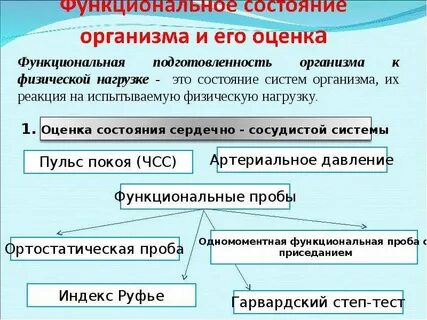 Функциональный человек это