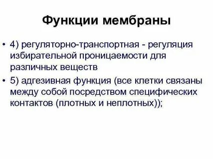 Избирательная проницаемость клетки мембраны