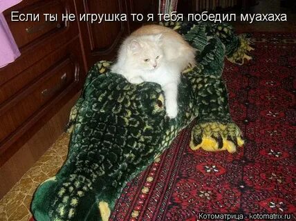 Ты куда ползешь в российскую