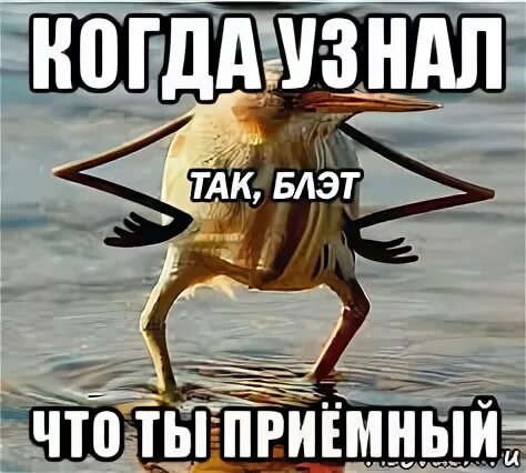 Ты приемный мем. Симптомы депрессии у детей. Шутки про приемных детей. Когда батя сказал. Шутки про приемных.