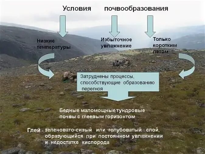Лишних условий