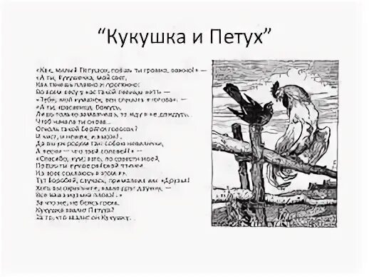 Кукушка читательский дневник. Басня Ивана Крылова Кукушка и петух. Басня Ивана Андреевича Крылова Кукушка и петух. Крылов Кукушка и петух басня.