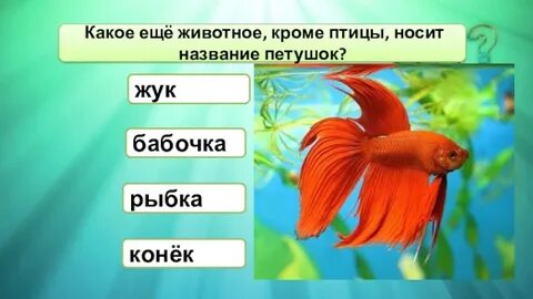 Какое животное кроме