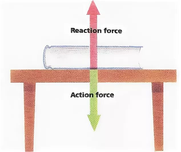Action reaction. The reaction force of the support. action-reaction force. reactionary forces. principle reactions.