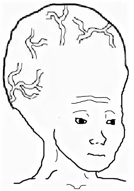 Wojak test 8 scale. Wojak chad. чел с большим мозгом. голова с большим мозгом.