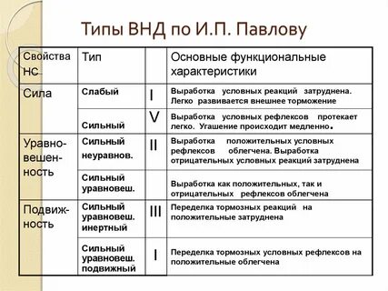 Типы высшей нервной деятельности характеристики