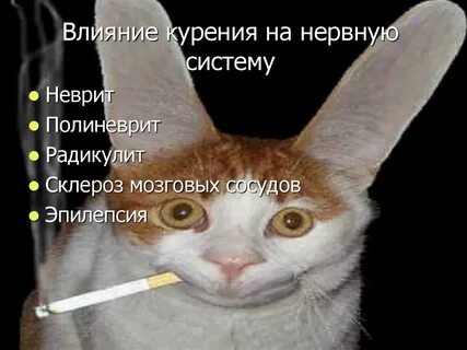 Не смотрите на нервах