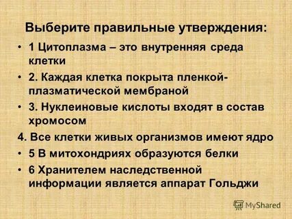 Каждая клетка покрыта