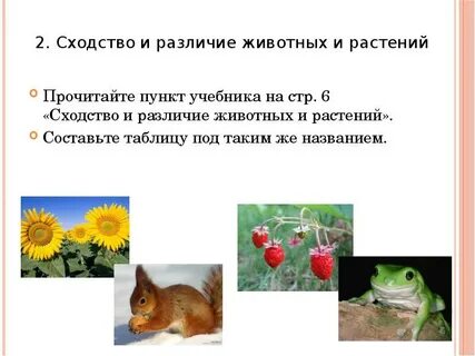 Назовите сходство и различие