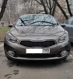 Реснички сид