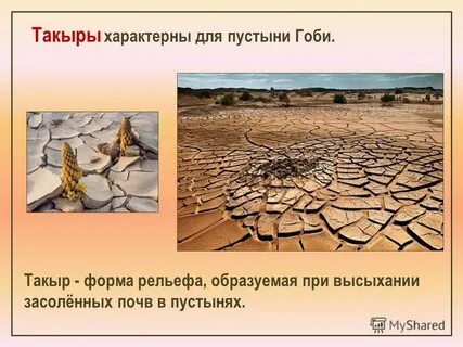 Что характерно для пустыни
