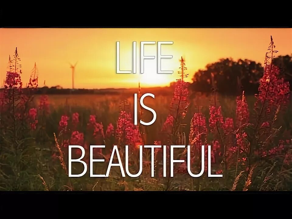 Live is a beautiful. Life is beautiful. лайф из бьютифул надпись. часы лайф ис бьютифул. life is beautiful wallpaper.