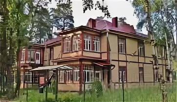 Интеллект лисий нос