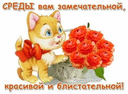 Доброй среды любимый