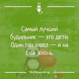 Бужу это