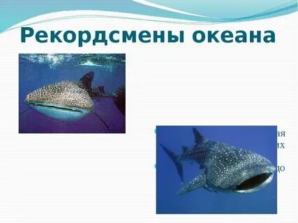 Рекорды мировых океанов
