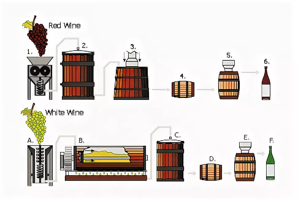 Производство вина технология схема. Технология производства вина винодельня. Схема производства красного вина красное белое. Технология производства белого вина схема. Производство красного вина