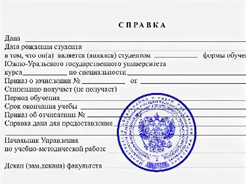 Образец справка учащегося. Образец справки об учебе в университете. Справка из школы о том что ребенок обучается в школе. Справка из учебного заведения образец. Справка о завершении обучения в университете.