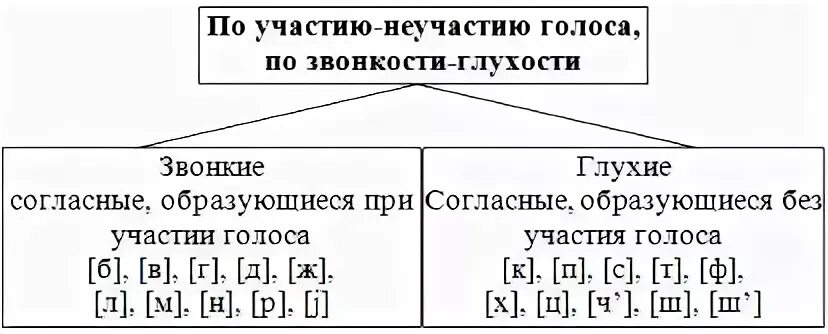 Три признака согласных звуков. Способы образования звуков в русском. Классификация гласных звуков русского языка. Классификация согласных по участию голоса и шума. Образование согласных звуков речи.