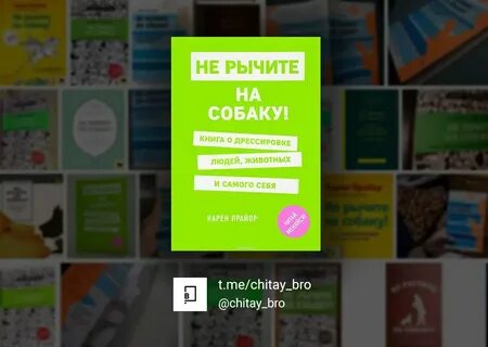 Не рычите на собаку