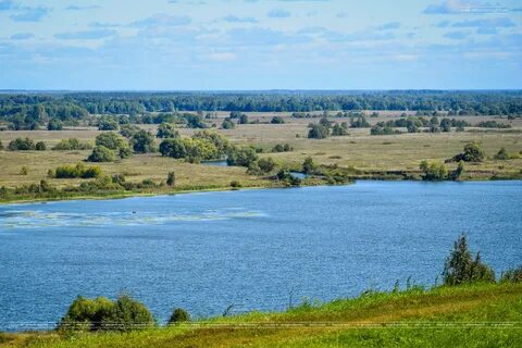 Рязанская область бесплатный