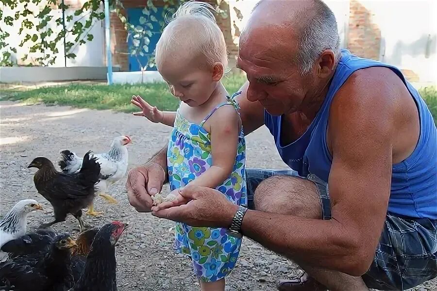 Накормил дедушку