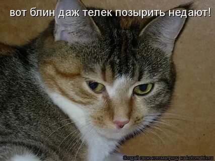 Вот блин