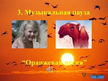 Оранжевая песня ютуб