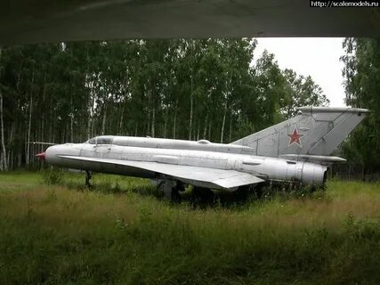 Дон миг