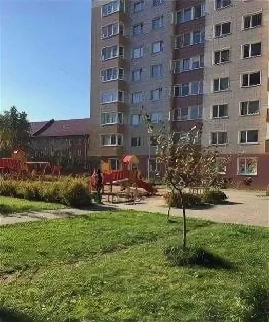 Роялдент31 каштановая ул 14 фото Фотографии КАШТАНОВАЯ 2 3