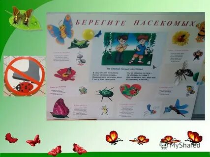 Проект насекомые