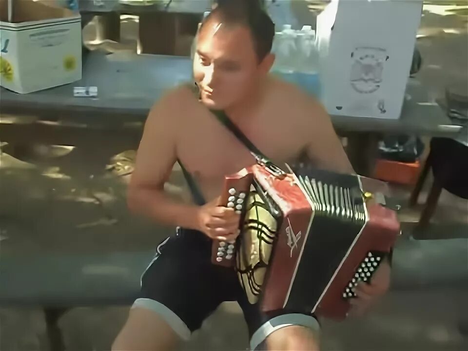 Бумер на гармошке. Черный бумер на гармони. бумер на гармони. черный бумер на гармошке. мобильник бумер на гармошке.