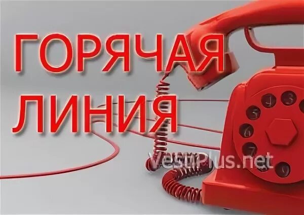 Горячая линия по розыску собак. Горячая линия рыба. Телефон горячей линии о незаконном повышении цен. Сервисы телефонов Новошахтинск.