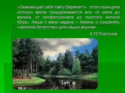 Беречь тайга
