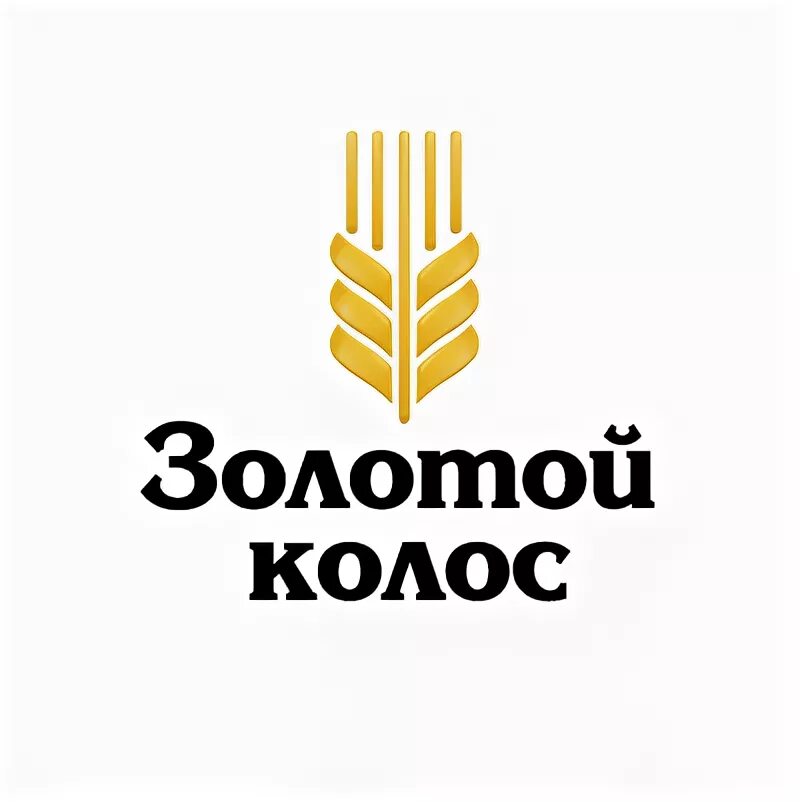 Золотой колос эмблема. Золотой колос 2023 эмблема. Золотой колос. Золотой колос ростов. Золотой колос.