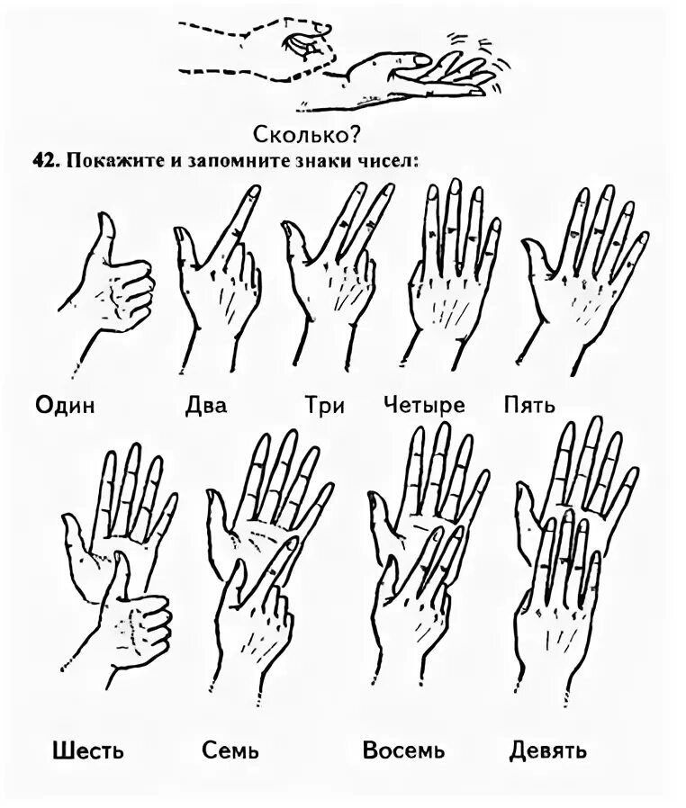 Раскрытие 1 палец это сколько. Сколько пальцев рожают