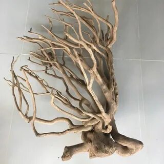 Натуральные корни