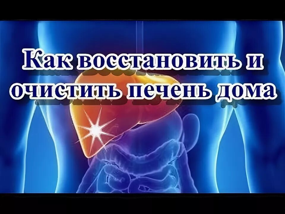 Как быстро восстановить печень в домашних. Восстановление печени. Чистка и восстановление печени. Очищение организма печени. Как восстановить печень в домашних.