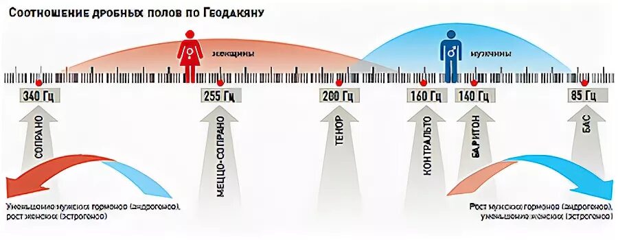 Существует 6 полов