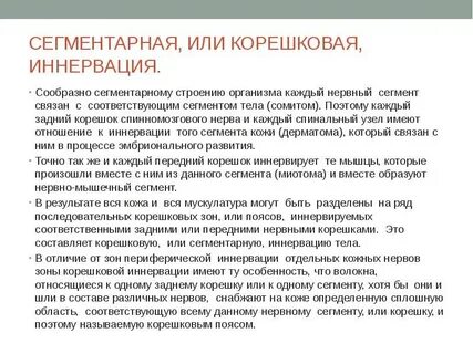 Что такое иннервация