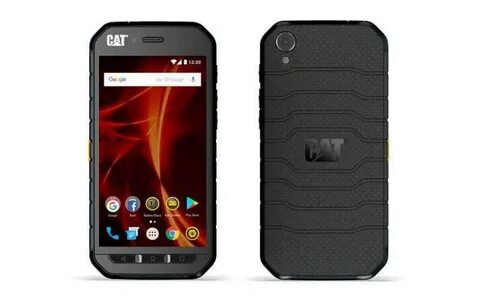 Cat s 0