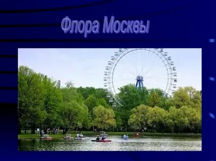Flora москва