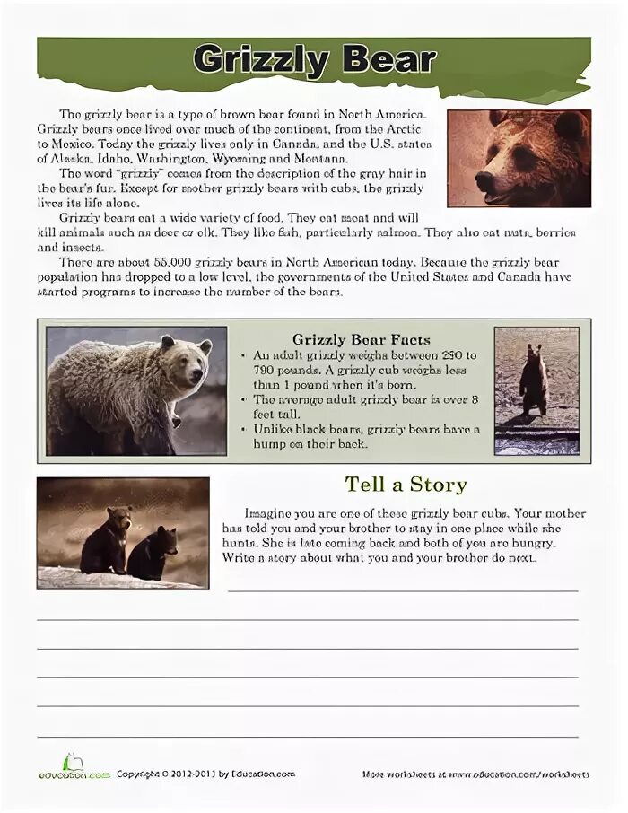 Tell bear. Grizzly bears worksheet. grizzly bear перевод. grizzly bear стих перевод на русский. перевод гризли на английском.