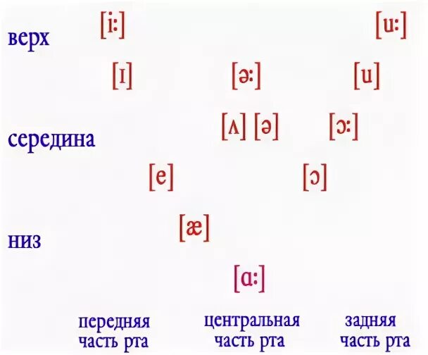 Гласный среднего ряда среднего подъема