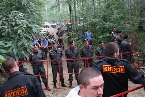 Витязь вакансии