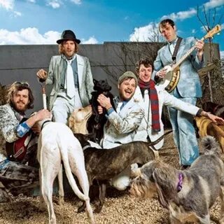 Dr dog